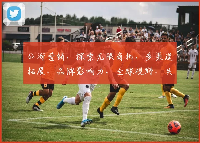 公海营销，探索无限商机，多渠道拓展，品牌影响力，全球视野，共赢未来