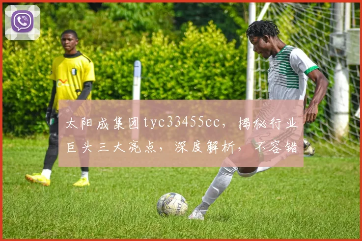 太阳成集团tyc33455cc，揭秘行业巨头三大亮点，深度解析，不容错过