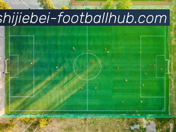 世界杯8强APP 封面图