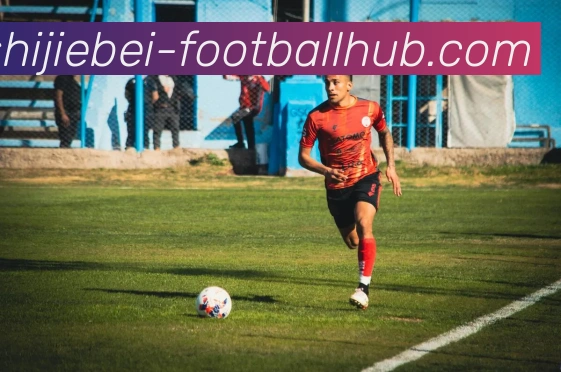 登录器